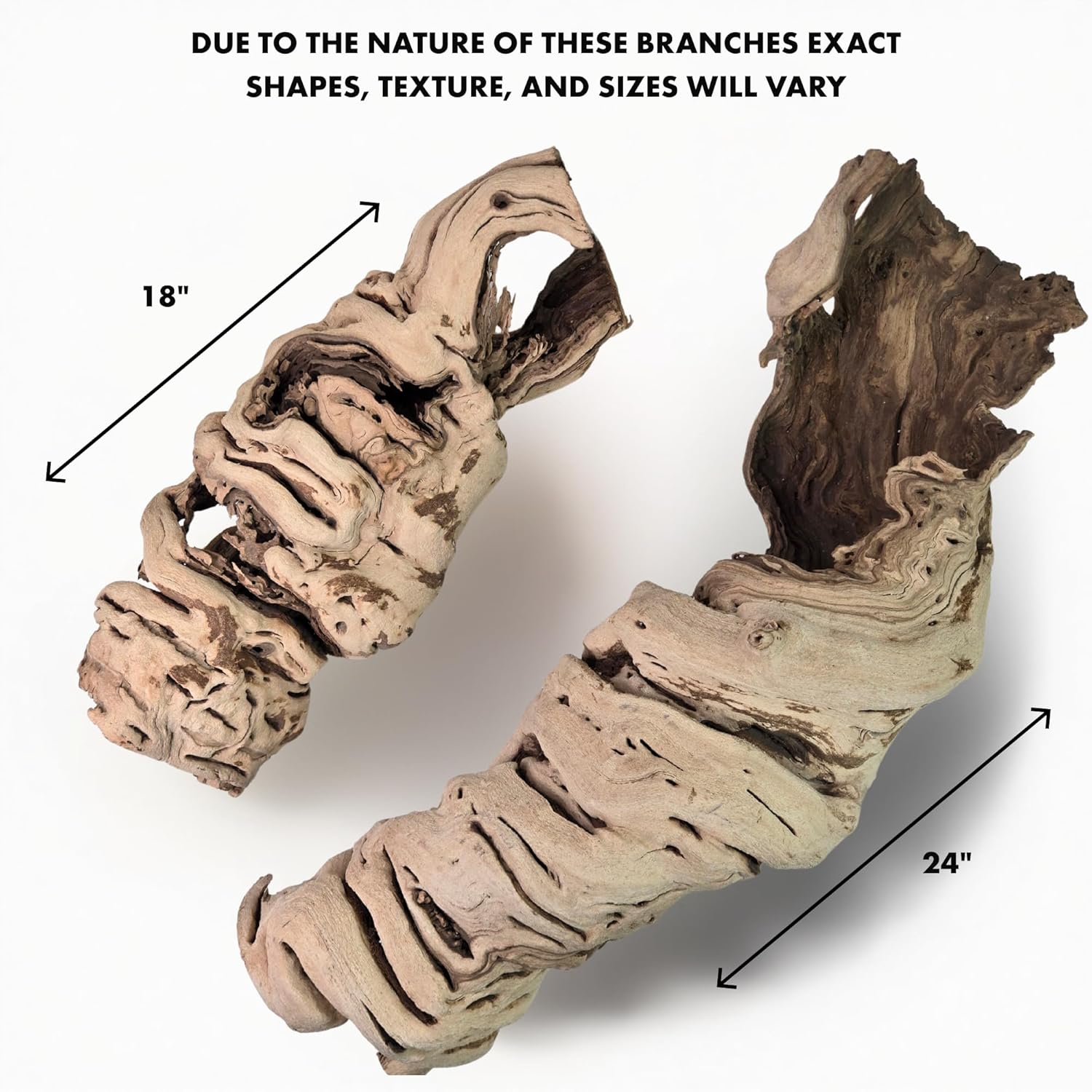 Koyal Wholesale 18" Hollow Grapewood Branch Decor 1Pcs Grapewood Centerpiece Vase Air Plants Sand Blasted Grapevine Wood Untreated Terrarium Wood Driftwood Decor