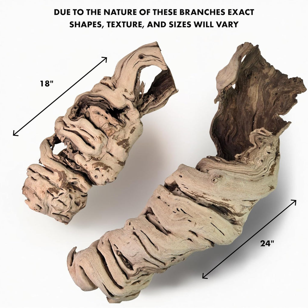 Koyal Wholesale 24" Hollow Grapewood Branch Decor 1Pcs Grapewood Centerpiece Vase Air Plants Sand Blasted Grapevine Wood Untreated Terrarium Wood Driftwood Decor