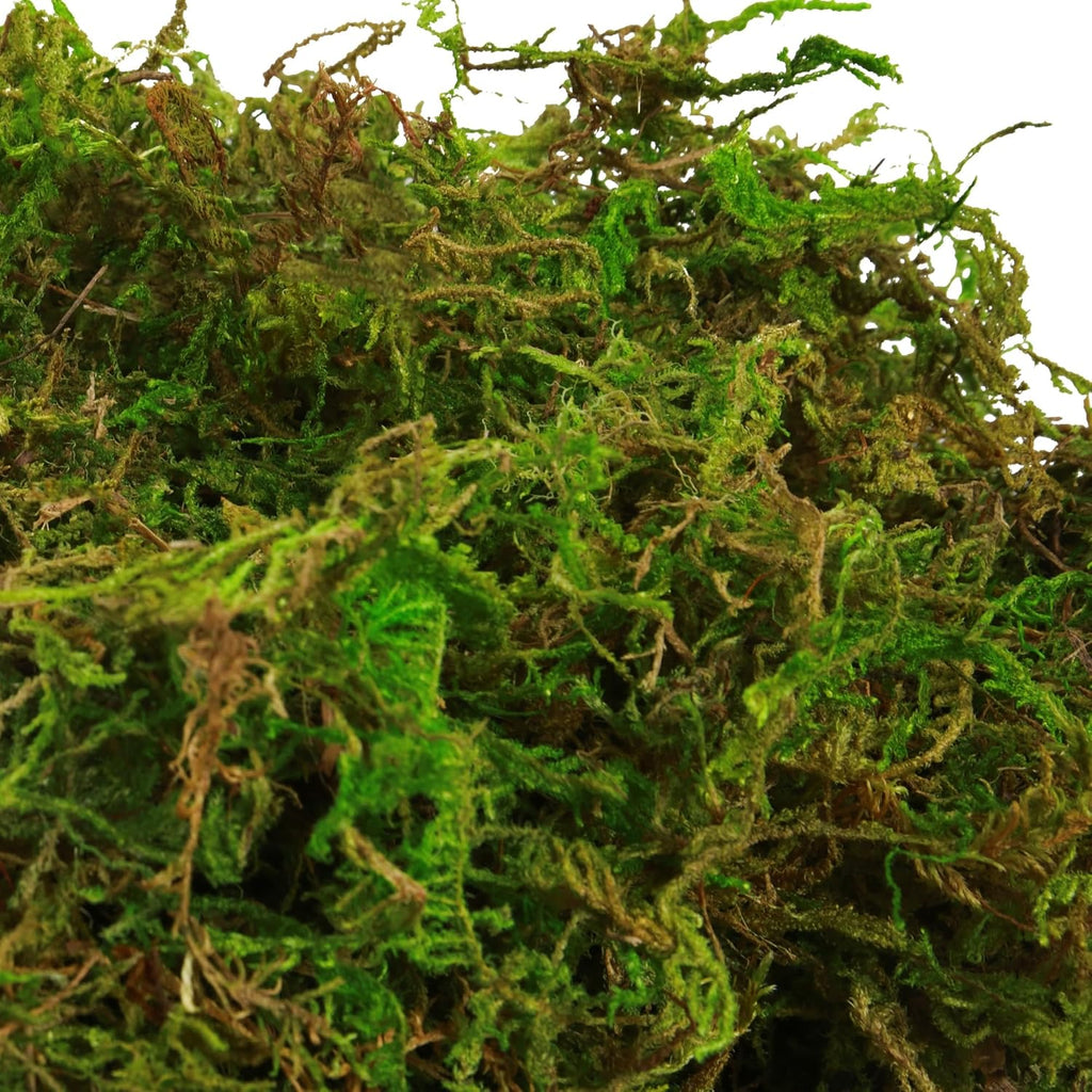 BYHER 35oz (2.18 Pounds) Green Artificial Moss for Indoor Crafts, Fairy Gardens, Table Centerpieces, Wedding Decor