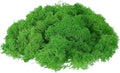 uxcell Preserved Reindeer Moss, 17.6oz Fake Moss for Crafts Artificial Dried Moss for Decoration Terrariums Potted Plants, Green