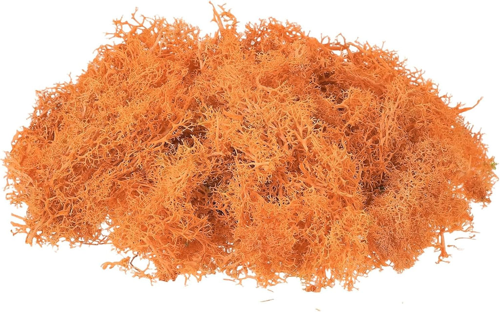 uxcell Preserved Reindeer Moss, 17.6oz Fake Moss for Crafts Artificial Dried Moss for Decoration Terrariums Potted Plants, Orange