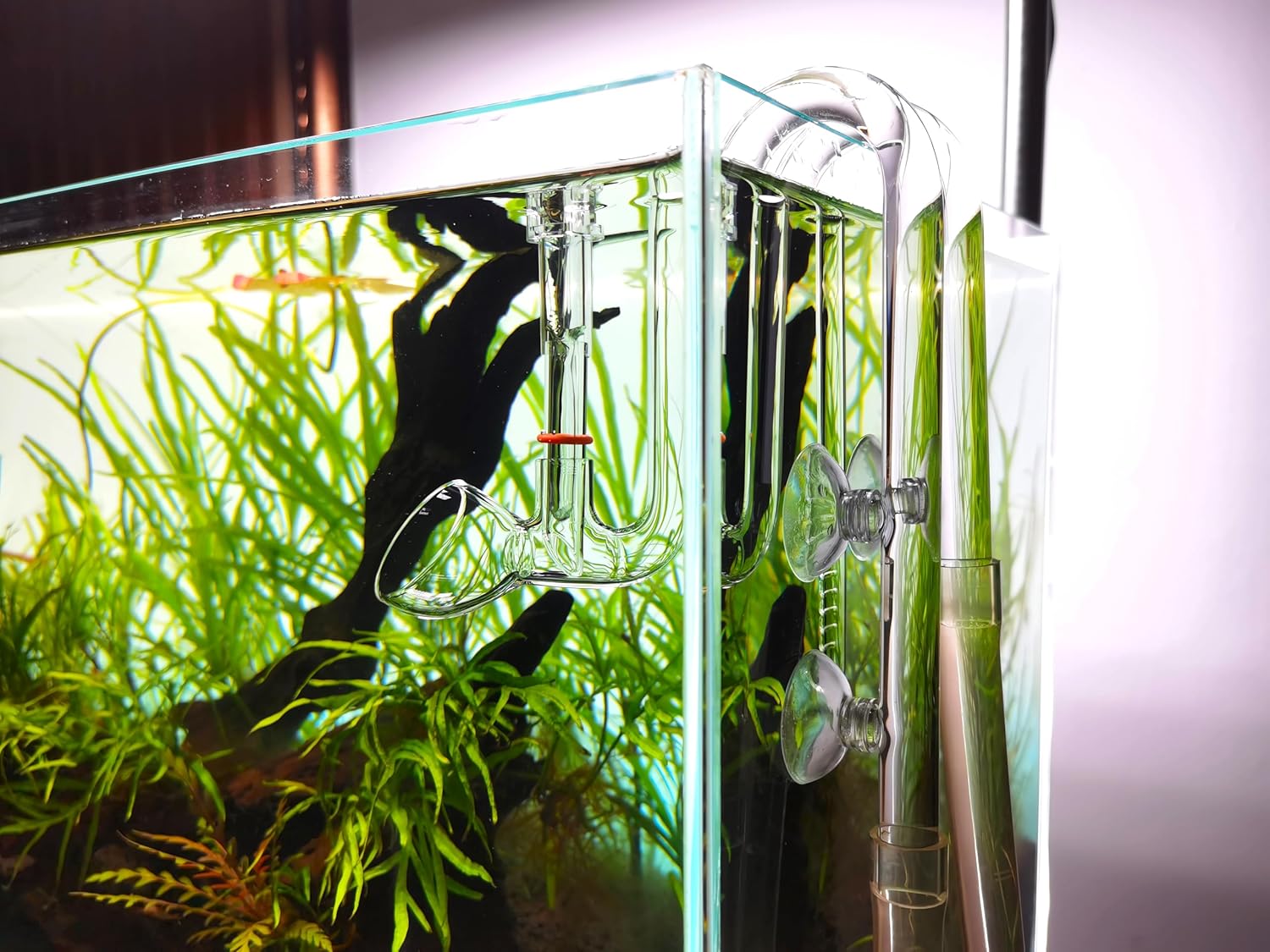 Glass Lily Pipe Outflow with Surface Skimmer for Planted Tank Aquarium (13mm for 12/16mm (1/2'' i.d.) tubing)