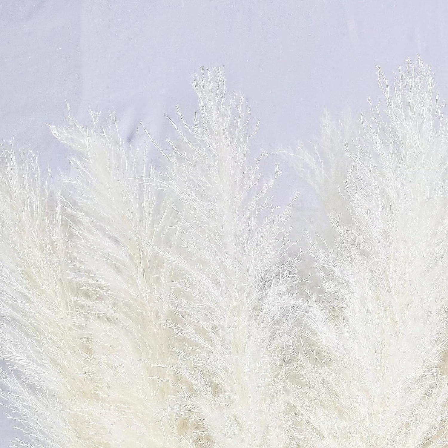 10 Stems 40-inch White Pampas Grass Decor Tall, Large Pampas Grass, Boho Neutral Home Decor Bouquet. Fluffy Pampas Grass for Floor Vases, Wedding Floral Arrangements, Wall Decor, Farmhouse Table Decor