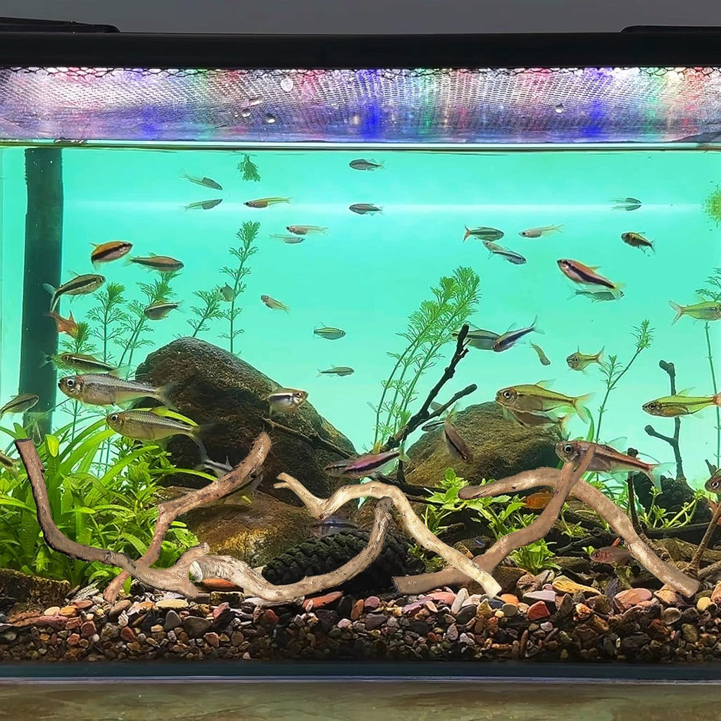 Hamiledyi Natural Driftwood for Aquarium Decor - Red Moor Wood 10"-15" Long Assorted Shapes (400g) Safe Branches for Fish Tank & Reptile Habitat - Natural Aquarium Wood Decorations (Coarse Branches)