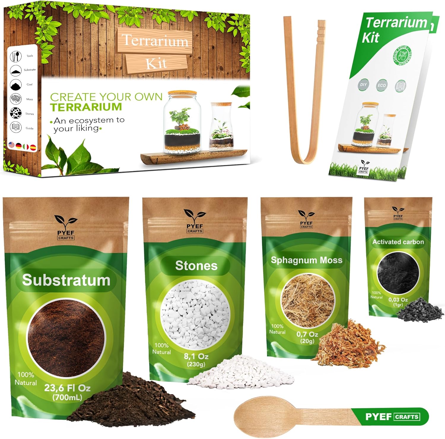 DIY Terrarium Kit for Plants – Build a Self‑Sustaining Closed Ecosystem – Supplies for Up to 68 oz (1‑2 Liter) Glass Jar – Succulents, Air Plants (Tillandsia), Fern – Jar Not Included