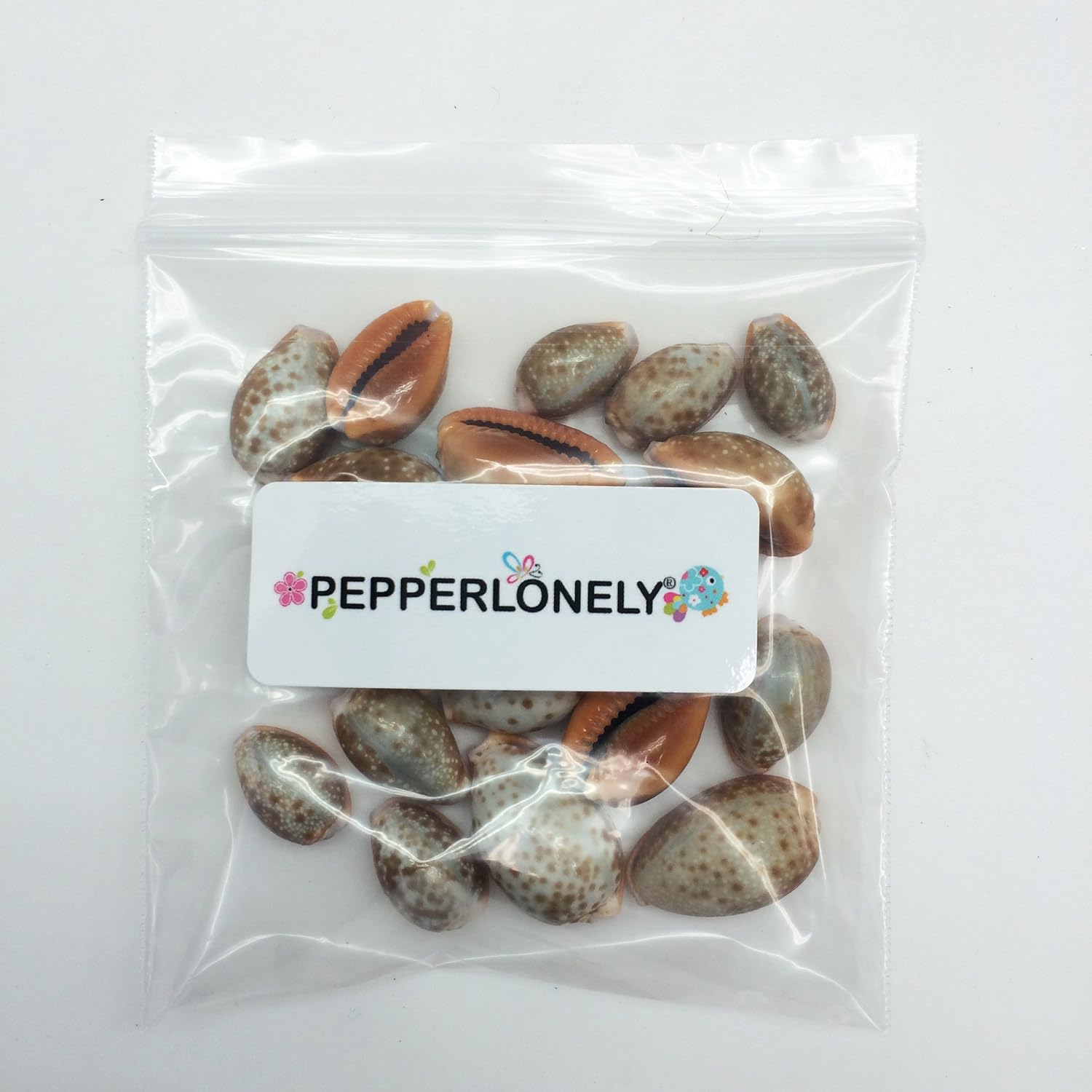 PEPPERLONELY 20PC Honey Cowry Sea Shells, Erosaria Helvola Shells, 2/3 Inch ~ 1 Inch