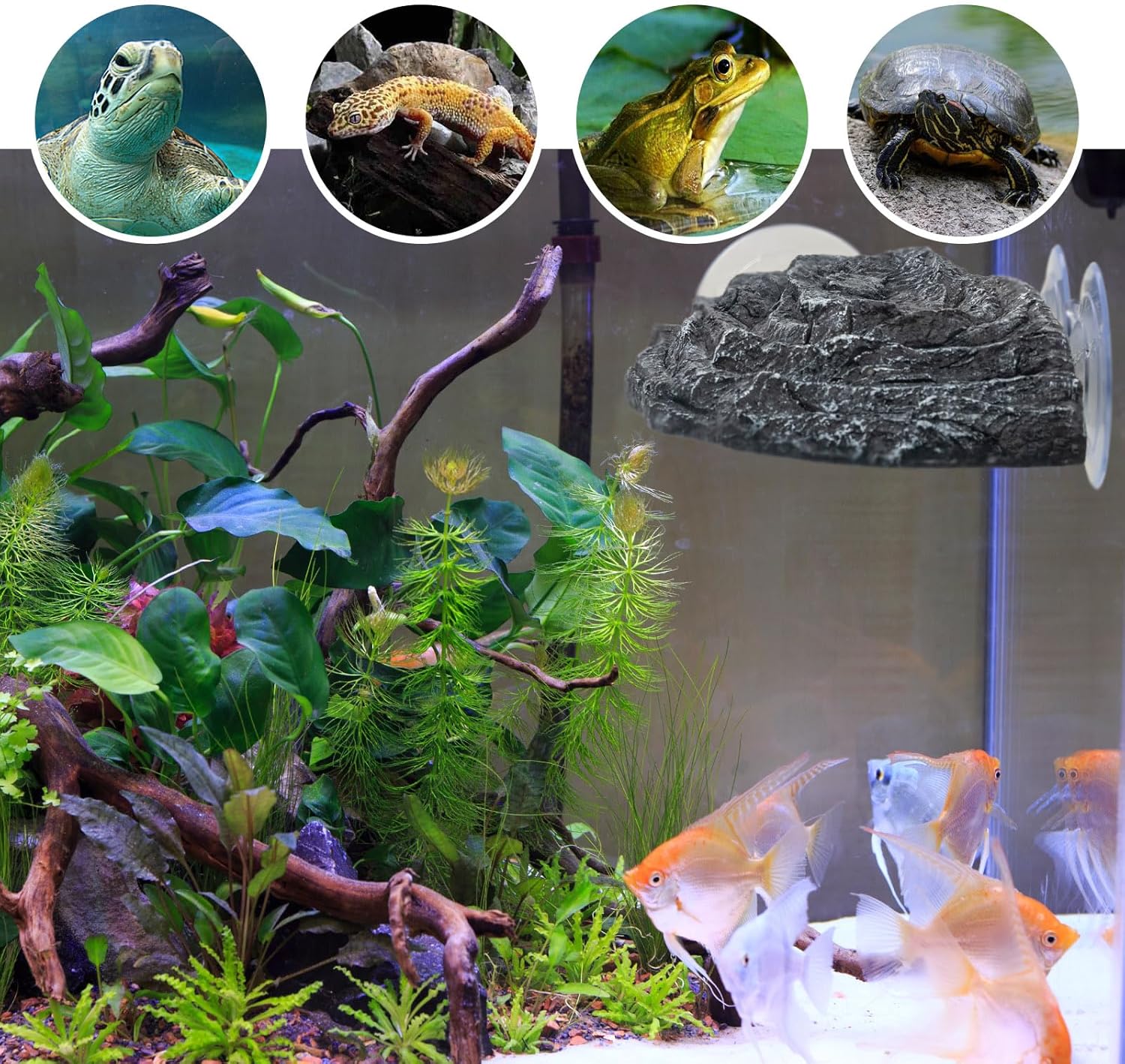 Turtle Basking Platform for Aquatic Pets - Extra Large Basking Platform for Aquatic Turtles with 3 Strong Suction Cups, Floating Resting Dock for Turtle Tank & Aquarium