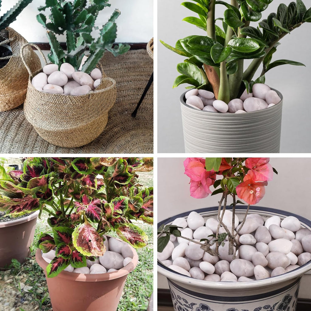 20Ib White River Rocks for Landscaping- High Polished Pebbles for Plants-Garden Decorative Stones-1-2 Large Plant Rocks,Ideal for Aquarium, Home Decor