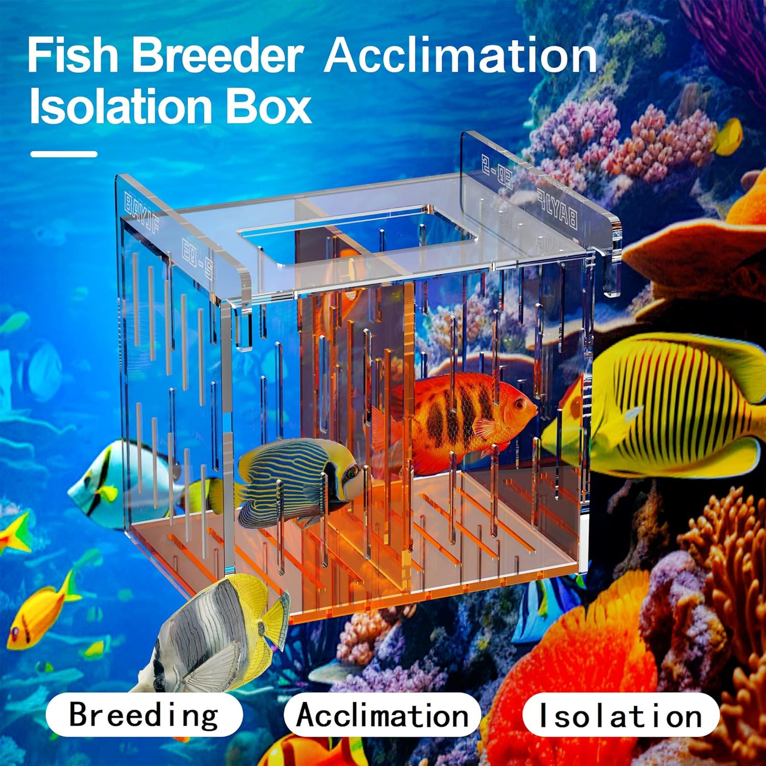 Fish Breeder Isolation Box for Aquarium Tank,Transparent Orange Acrylic Fish Acclimation Box for Clownfish Guppy Betta Coral (S)