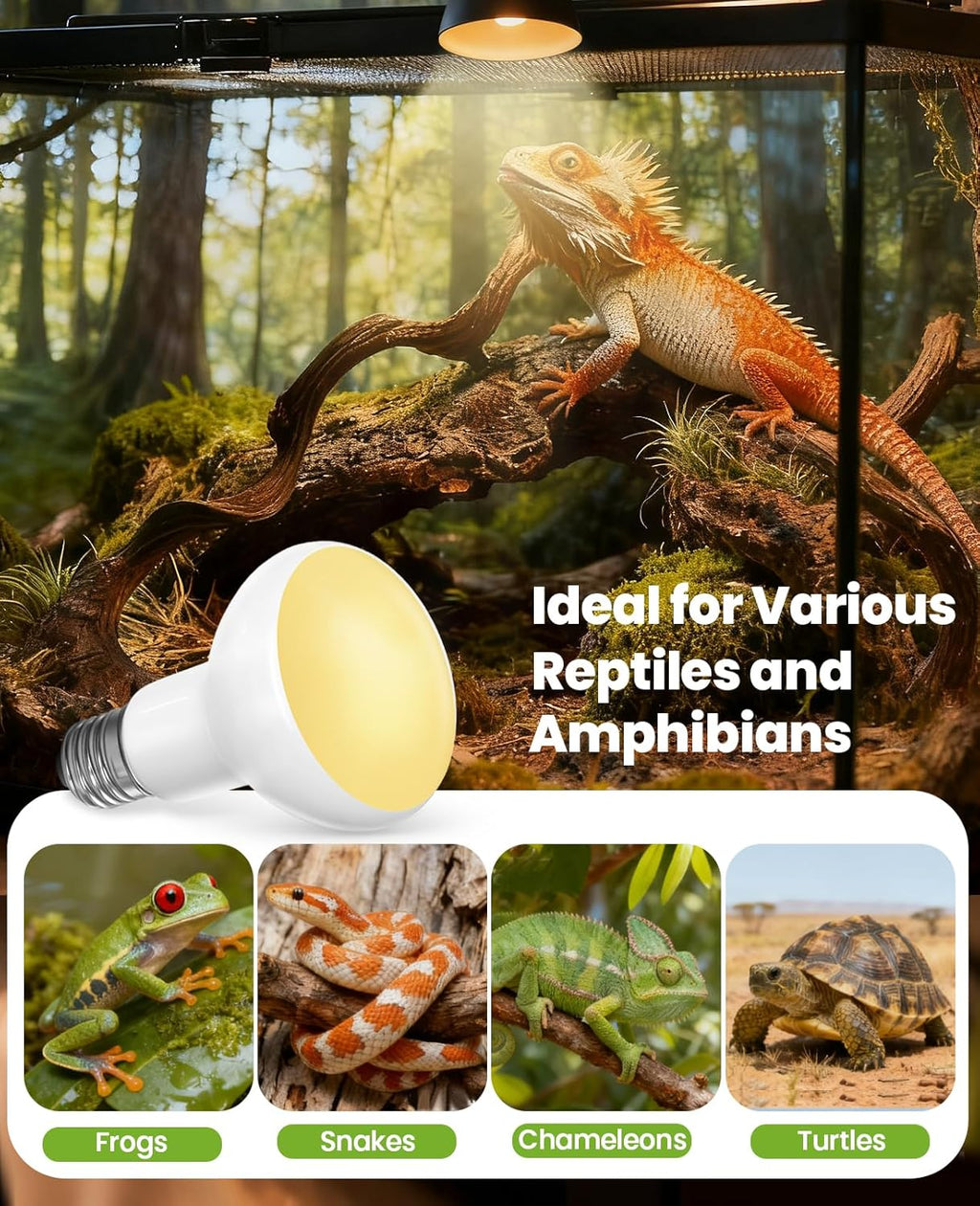 KINDEEP Reptile Basking Light Bulb: 50W Reptile Heat Lamp 2 Pack UVA Daylight Basking Bulb for Amphibian Bearded Dragon Lizard Tortoise Turtle Snake Chicken Pets Heating