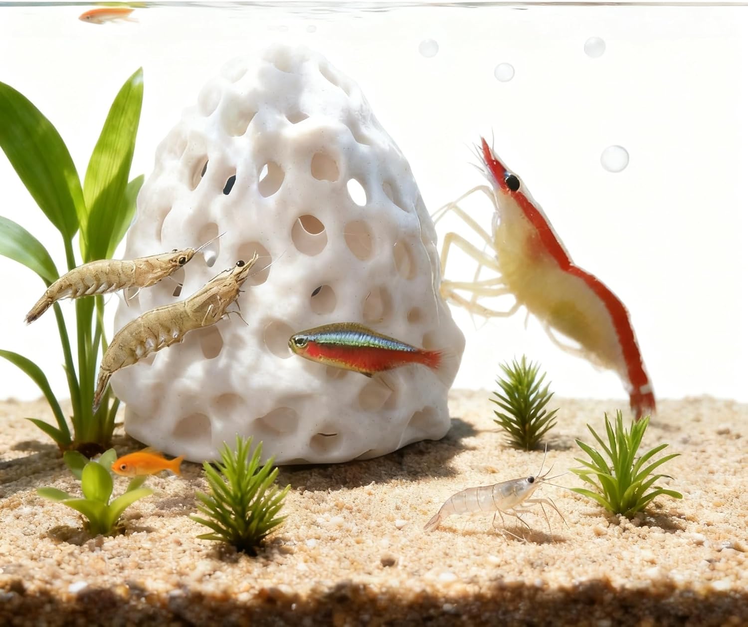 Betta Fish, Shrimp Hideout Aquarium Decor, Suction Cup Hiding Spot for Guppy Small Fish Resting Tank Accessory