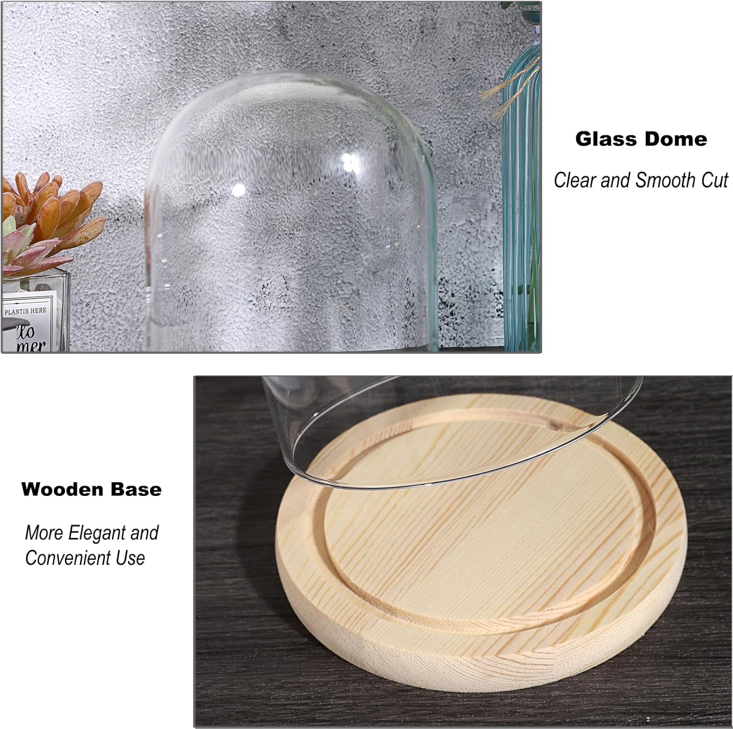 JUXYES Clear Glass Display Dome Cloche with Solid Wood Base, Transparent Dome Cloche Bell Terrarium Jar Glass Dustproof Display Stand for Plants, Collectibles and Figurines