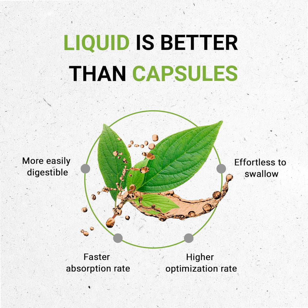 Bacopa USDA Organic | Alcohol-FREE Extract, High-Potency Herbal Drops, Relaxation, Positive Cognitive Effect | Made from 100% Certified Organic Bacopa (Bacopa Monnieri) Dried Herb 4 oz