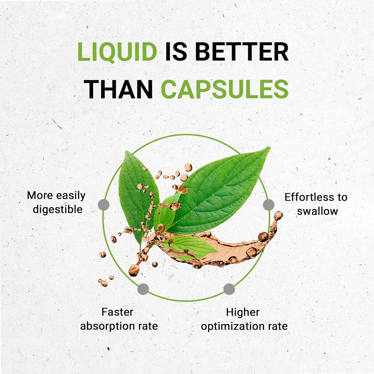 Bacopa USDA Organic | Alcohol-FREE Extract, High-Potency Herbal Drops, Relaxation, Positive Cognitive Effect | Made from 100% Certified Organic Bacopa (Bacopa Monnieri) Dried Herb 4 oz