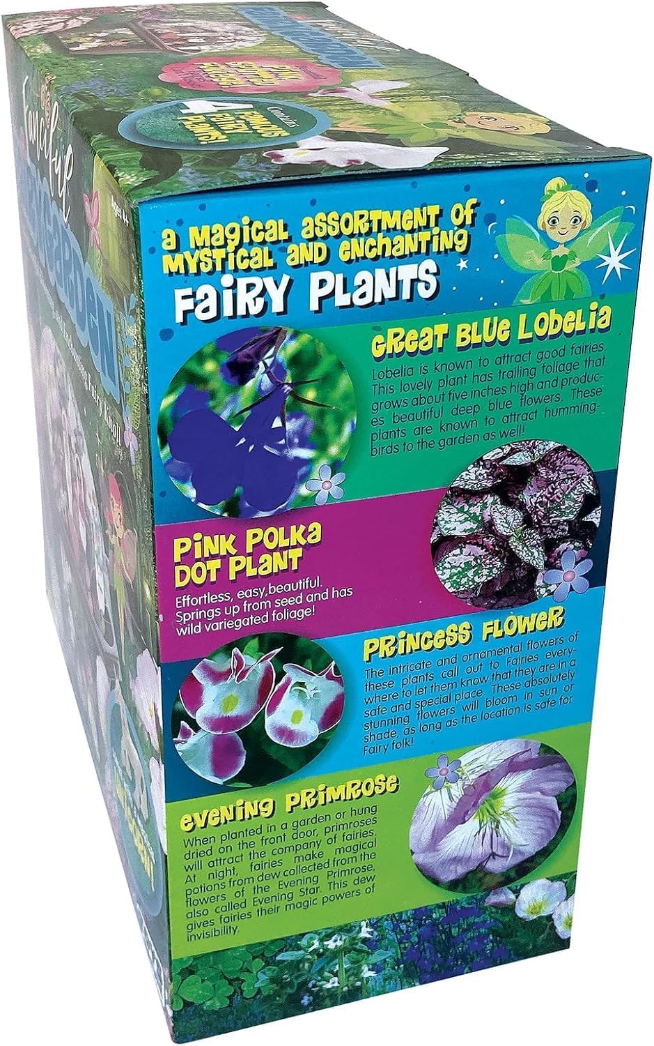 Toys by Nature Fanciful Fairy Biosphere Terrarium Starter Kit, Complete Supplies Included to Create Your Own Enchanting Garden and Indoor Plants! (Fanciful Fairy Garden)