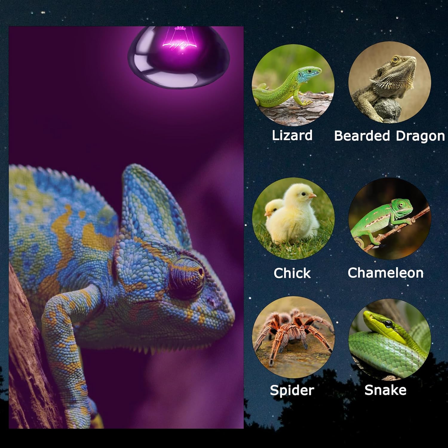 60W Reptile Night Light Bulb - Simulate Natural Moonlight for Bearded Dragons, Lizards, Snakes, and Amphibians - UVA Basking Lamp for Aquariums & Tanks, Enhance Health and Activity