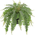 Hollyone Artificial Fern Plants in Pot 18.8" Small Artificial Boston Fern 24 Leaves for Outdoors & Indoor Faux Potted Plant Fake Ferns Bush Plant Patio Garden Farmhouse Porch Home Decor Dusty Green