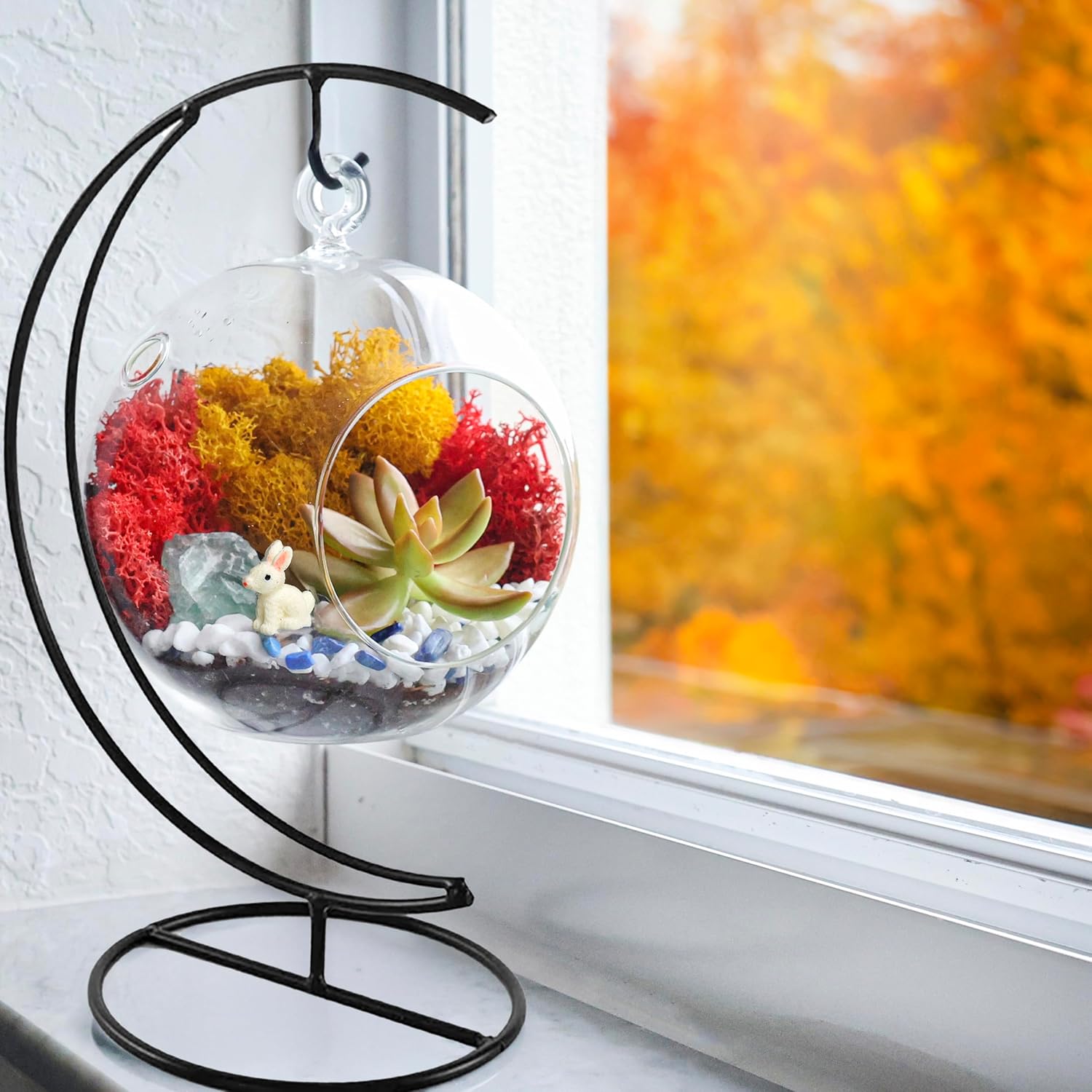 5" Glass Globe Succulent Terrarium Kit, Hanging DIY Starter Kit for Kids and Adult, Metal Stand, Reindeer Moss, Crystal & Rocks, Tools, Figurine (Live Plant Included)