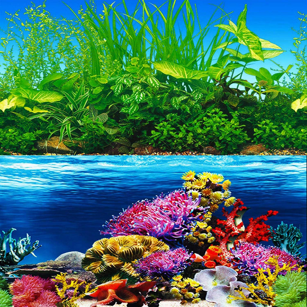 ELEBOX New 23" x 71" Fish Tank Background Paper Wallpaper 2 Sided Colorful Seaweed Water Plants Aquarium Background Picture