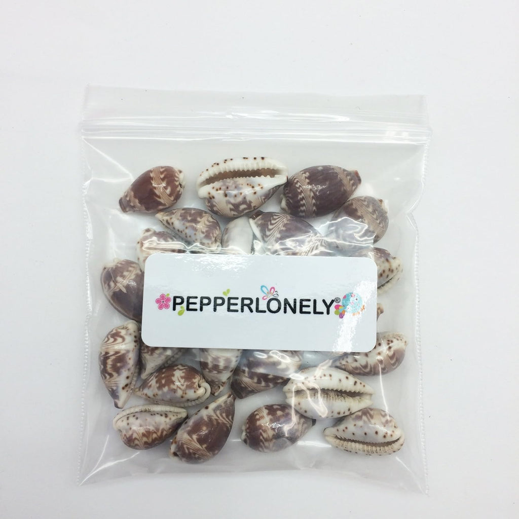 PEPPERLONELY 25PC Day-Break Cowry Sea Shells, Palmadusta Diluculum Shells, 3/4 Inch ~ 1-1/4 Inch