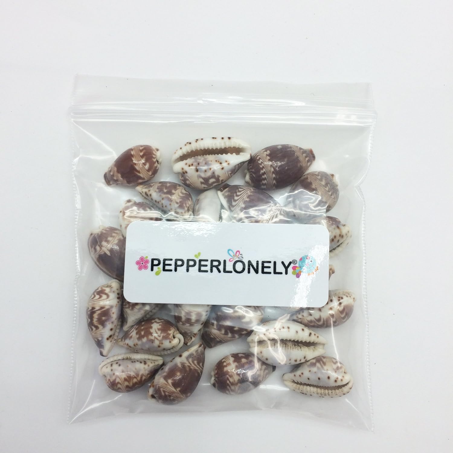 PEPPERLONELY 25PC Day-Break Cowry Sea Shells, Palmadusta Diluculum Shells, 3/4 Inch ~ 1-1/4 Inch