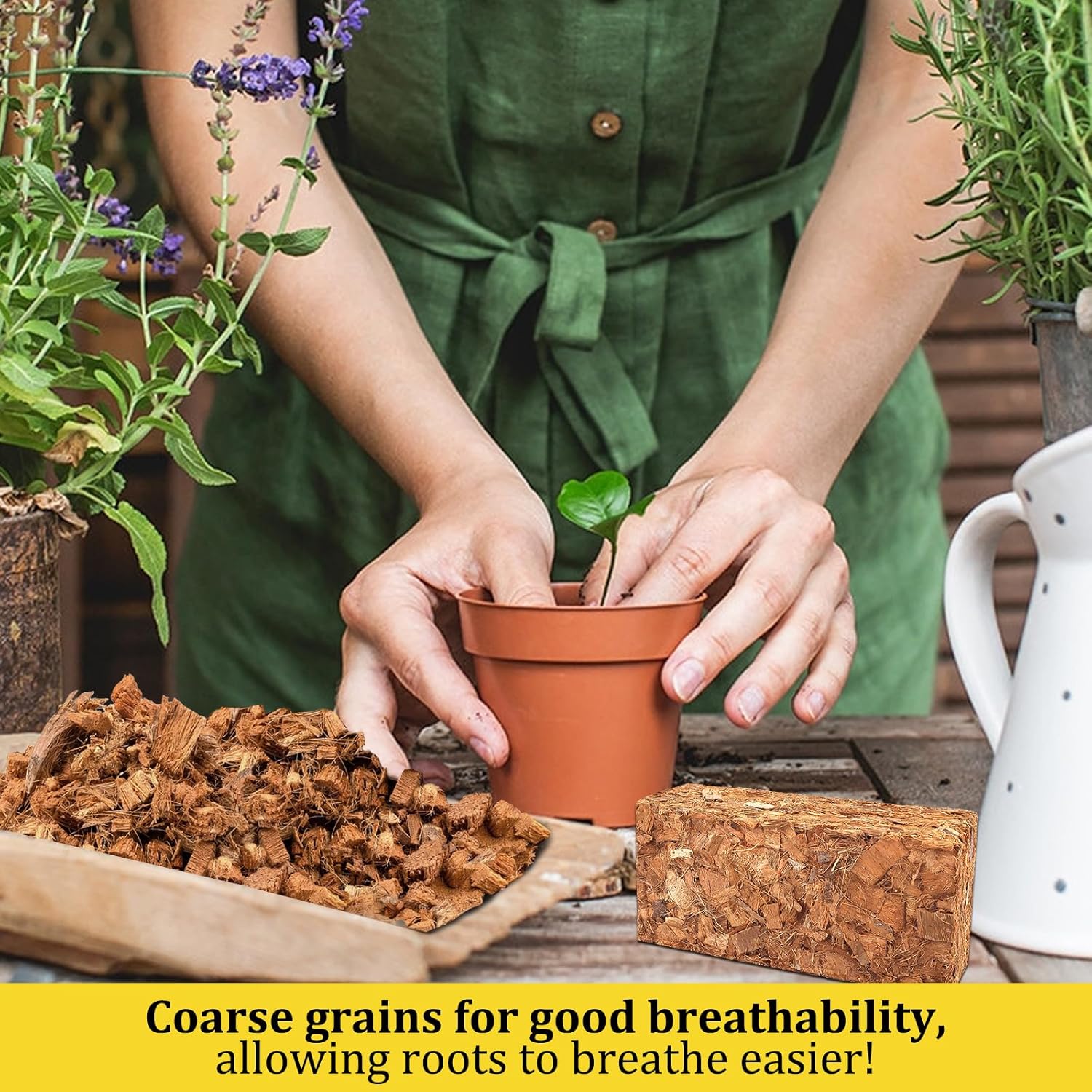 Riare 6 Pack Coco Chips Substrate for Plants- 6.6lb 100% Organic Coconut Husk Brick with Low EC and pH Balanced, High Expansion Coconut Substrate Coco Husk Mulch for Garden Flowers, Herbs, Planting