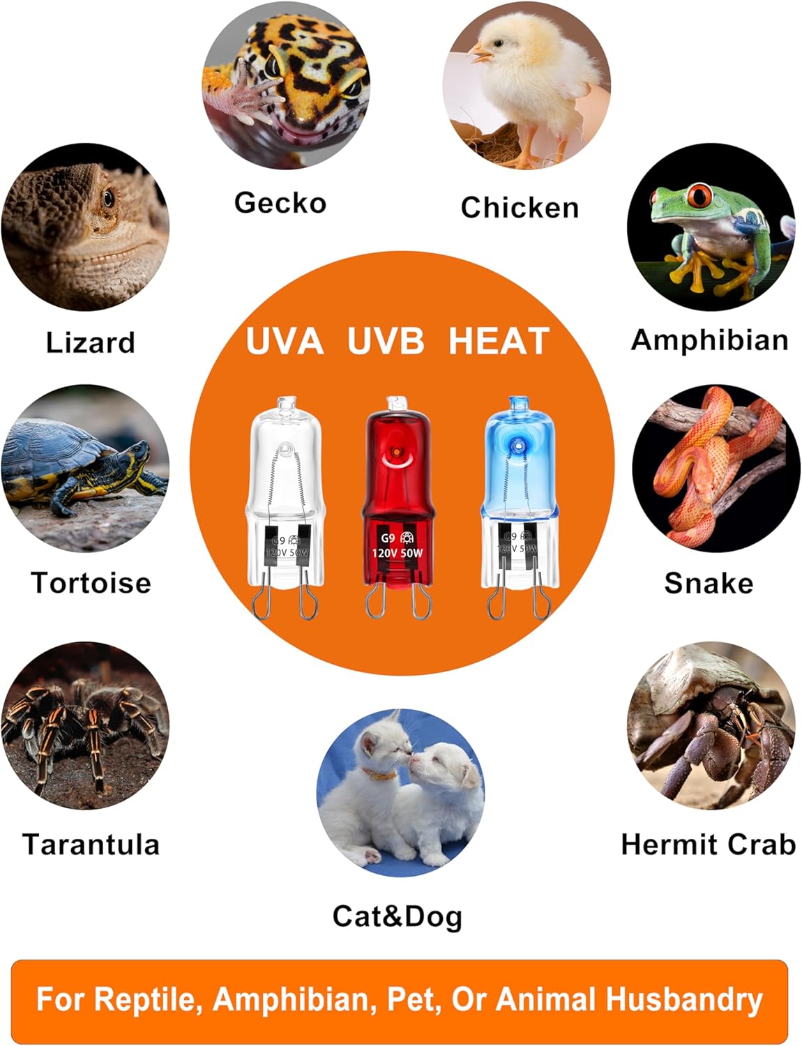 Reptile Heat Lamp G9 Bulb 25W 120V 2 Pin 3 Pack Base Light Bulb Replacement Dimmable Warm Red