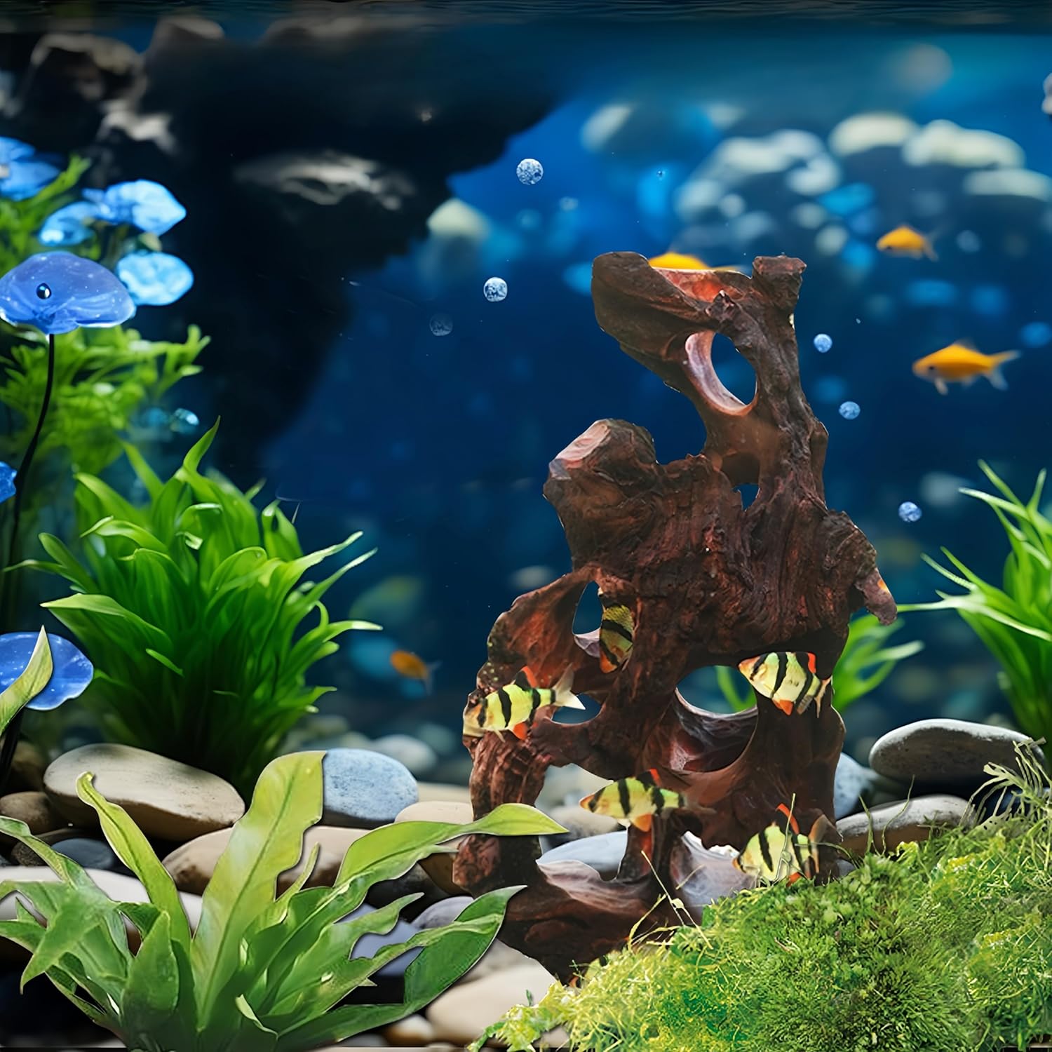 Natural Wood Aquarium Cave Betta Fish Hideout for Aquarium Fish Tank Decorations-Reptile Hide-Snake Hide-Cave for Cichlids Habitat Shelter for Crayfish Shrimp and Other Aquatic Pets 9-11.8"