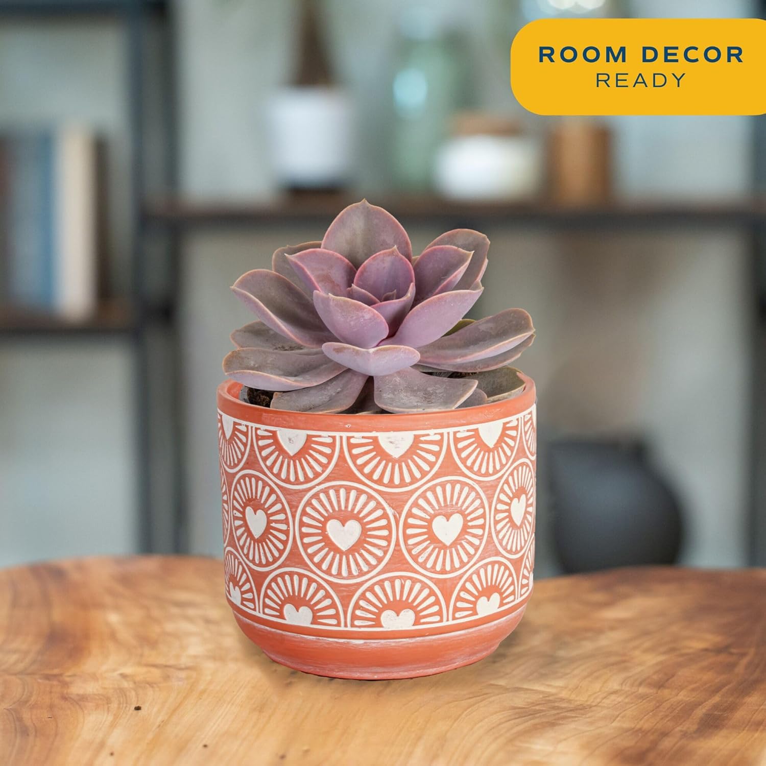 Costa Farms Live Succulent Plant, Easy to Grow Echeveria, Potted Houseplant in Decor Plant Pot, Everyday Gift for Mom, For Wife, From Daughter, Son, Room or Home Decor, 6-Inches Tall