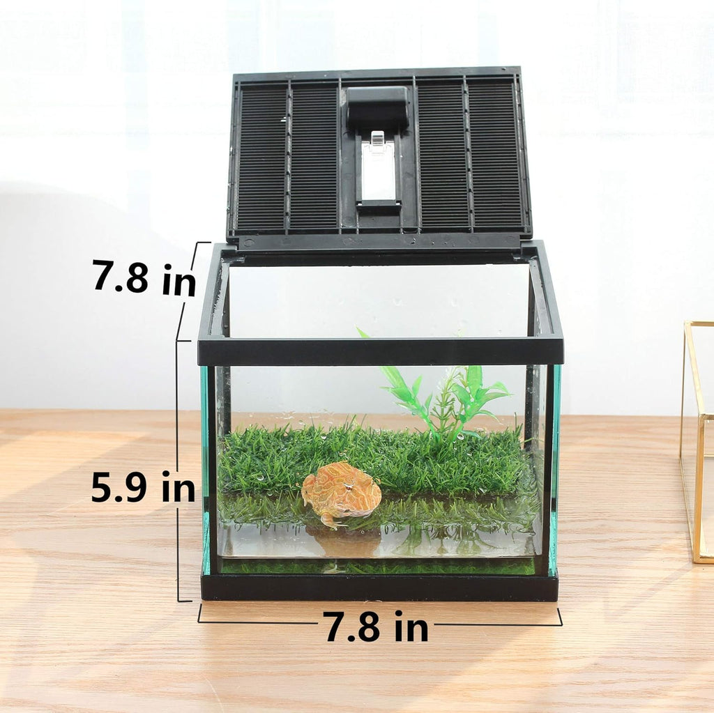crapelles Small Glass Frog Terrarium Kit, 7.8x7.8x5.9'' for Tadpole, Amphibians, Insects Enclosure, Praying Mantis Habitat, with Green Artificial Turf Pad (excluding Animals)
