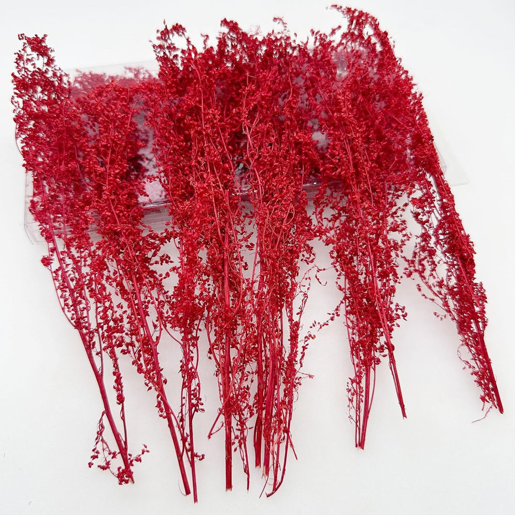 Woohome Static Grass Tuft Model Lowland Shrubs Tuft Terrain Model Artificial Plants DIY Miniature for Train Landscape Railroad Scenery, Red
