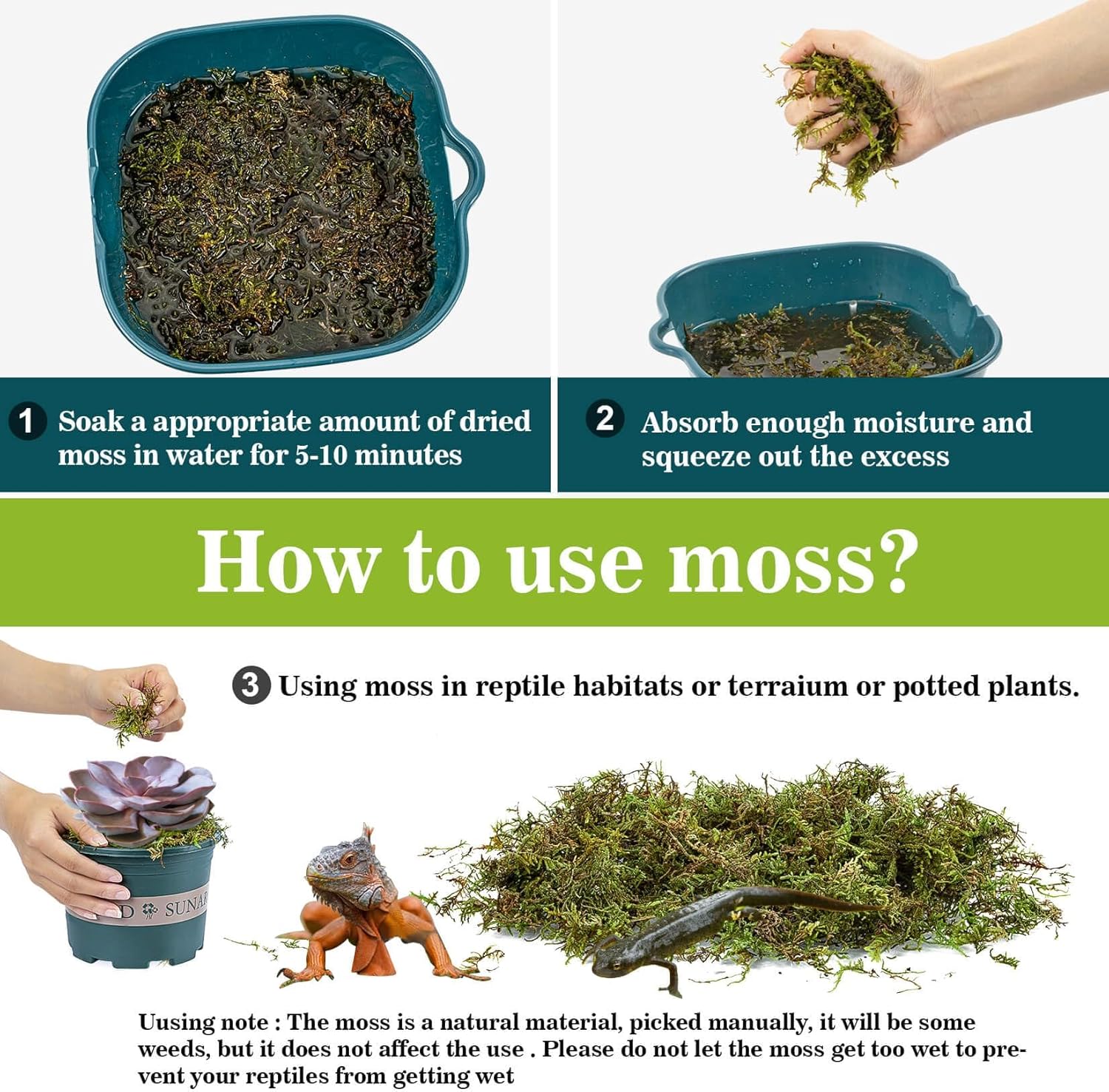 Sukh Sphagnum Moss for Reptiles -Terrarium Moss for Reptiles Peat Moss for Reptiles Habitat Bedding Moss for Snakes Turtle Frog Gecko and Other Reptiles Substrate (30, Ounces)