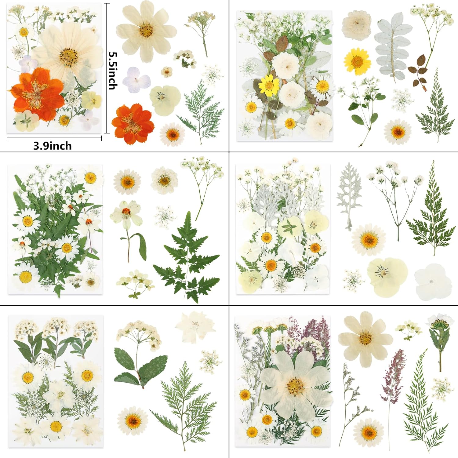 NESCCI 247 Pcs Dried Flowers for Crafts,Real Natural Dried Pressed Flowers in Soft Yellow & White Tones for Resin,Used for Scrapbooking DIY Art Crafts Candle Soap Making Nails Décor