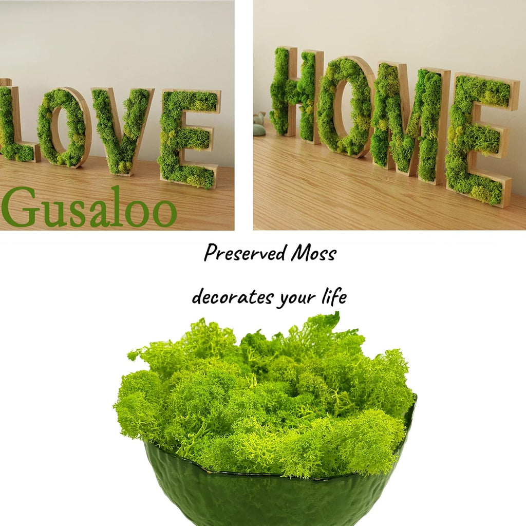 Moss Preserved Artificial Moss for Potted Plants Natural Fresh Green Moss for Crafts Arts Floral Project Wall Decor fake Moss Wedding Centerpieces Garden Terrariums Decoration Light-Yellow Green 3.5OZ