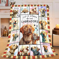 Labrador Throw Blanket Labrador Puppy Stuff Gifts for Dog Lover Kids Girls Boys Adults Women Men Soft Cozy Warm Plush Fluffy Fuzzy Fleece Blanket 40''X50''