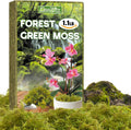 ZeeDix 1.1 lb Forest Moss for Plants Indoor - Dried Orchid Moss for Repotting, Natural Green Sphagnum Moss for Potted Plants Carnivorous Monstera Succulents Crafts Reptile Habitat (Expands to 25 qt)