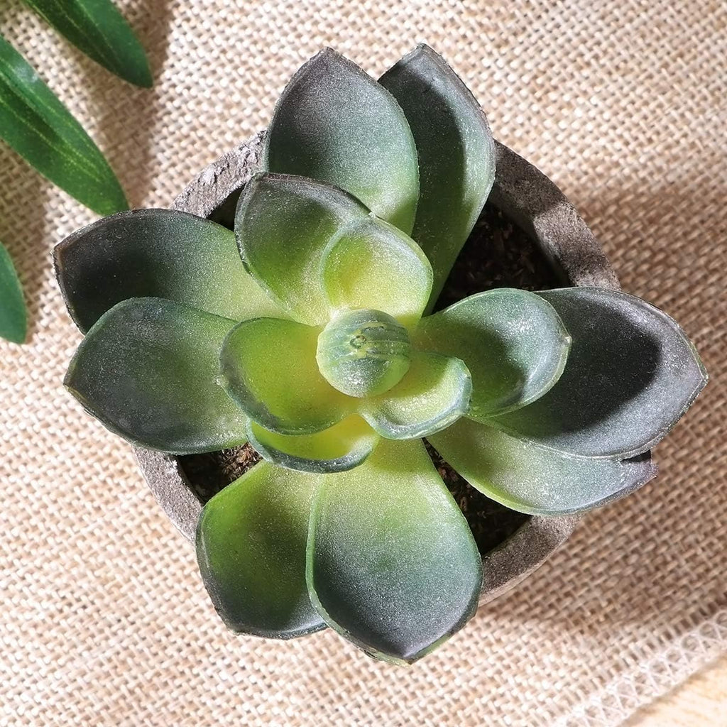 Ounona 3pcs Artificial Succulent Plants Set with Pots - Realistic Faux Mini Succulents for Home, Office, and Aesthetic Decor - Perfect for Desk, Living Room, and Bathroom