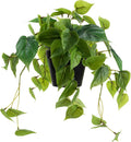 Artificial Scindapsus Aureus, Realistic Fake Plant with Plastic Pot for Home Office Garden Decoration 1 Pack(8in H)
