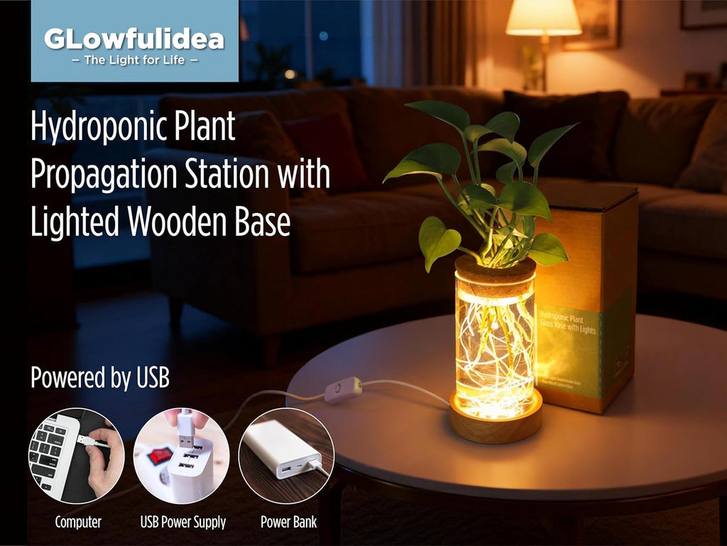 Plant Propagation Station with Lights, Glass Planter Station with Waterproof Lighted Wooden Base, Desktop Hydroponic Plants Terrarium with LED, Cylindrical Planter with Light for Home & Office Decor