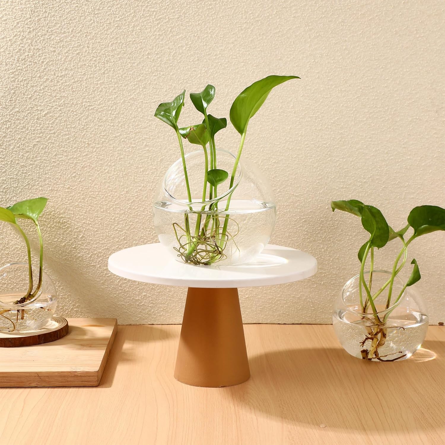 Toyvian 3pcs Terrarium Glass Bowls for Air Plants for Hydroponics Miniature Garden Desktop Containers for Home Office for Bromeliads