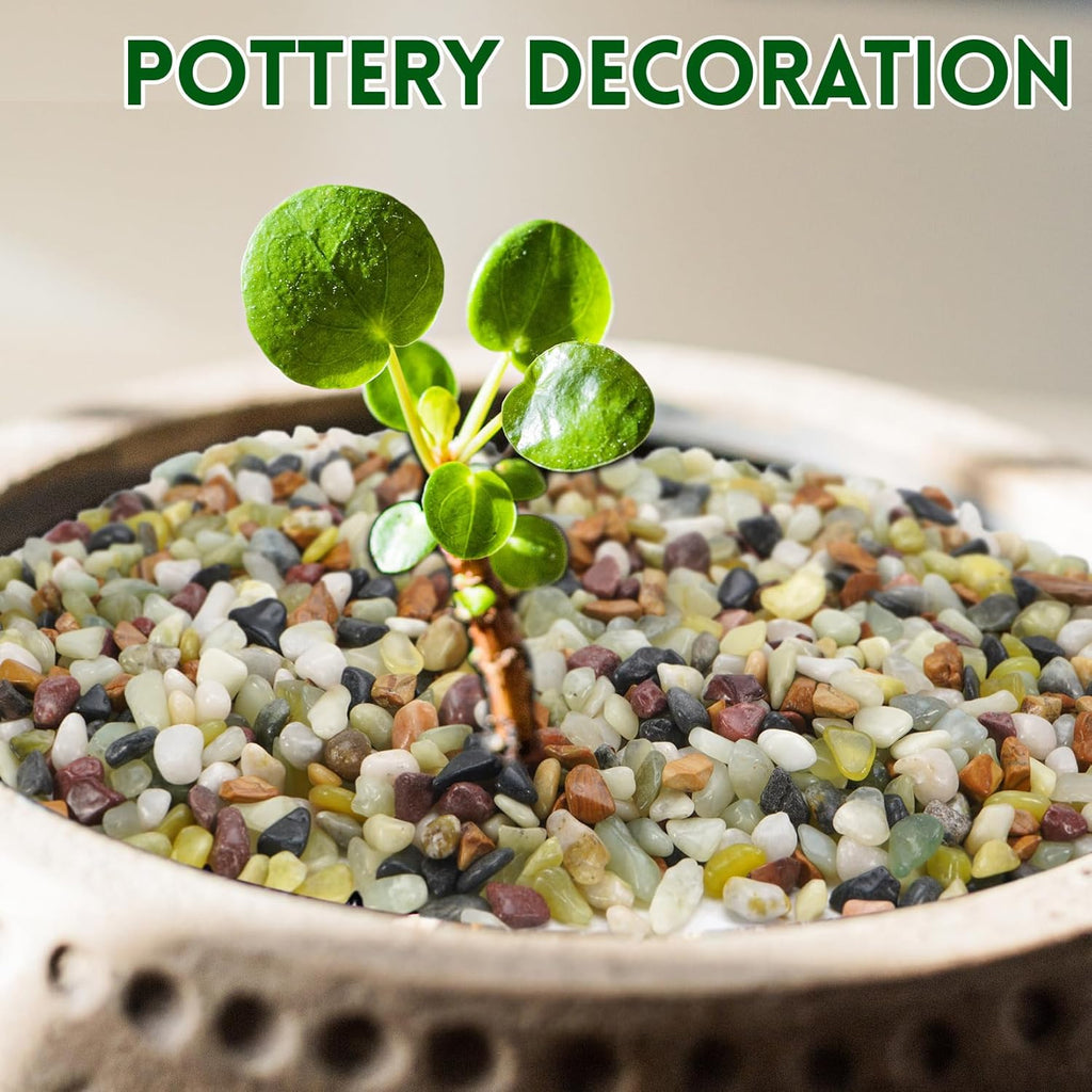 5 lb Pebbles for Indoor Plants, 3/8 Inch Decorative Rocks for Potted Plants, Natural Polished Pebbles for Vases, Succulent, Planters, Landscaping Drainage and Outdoor Gardening
