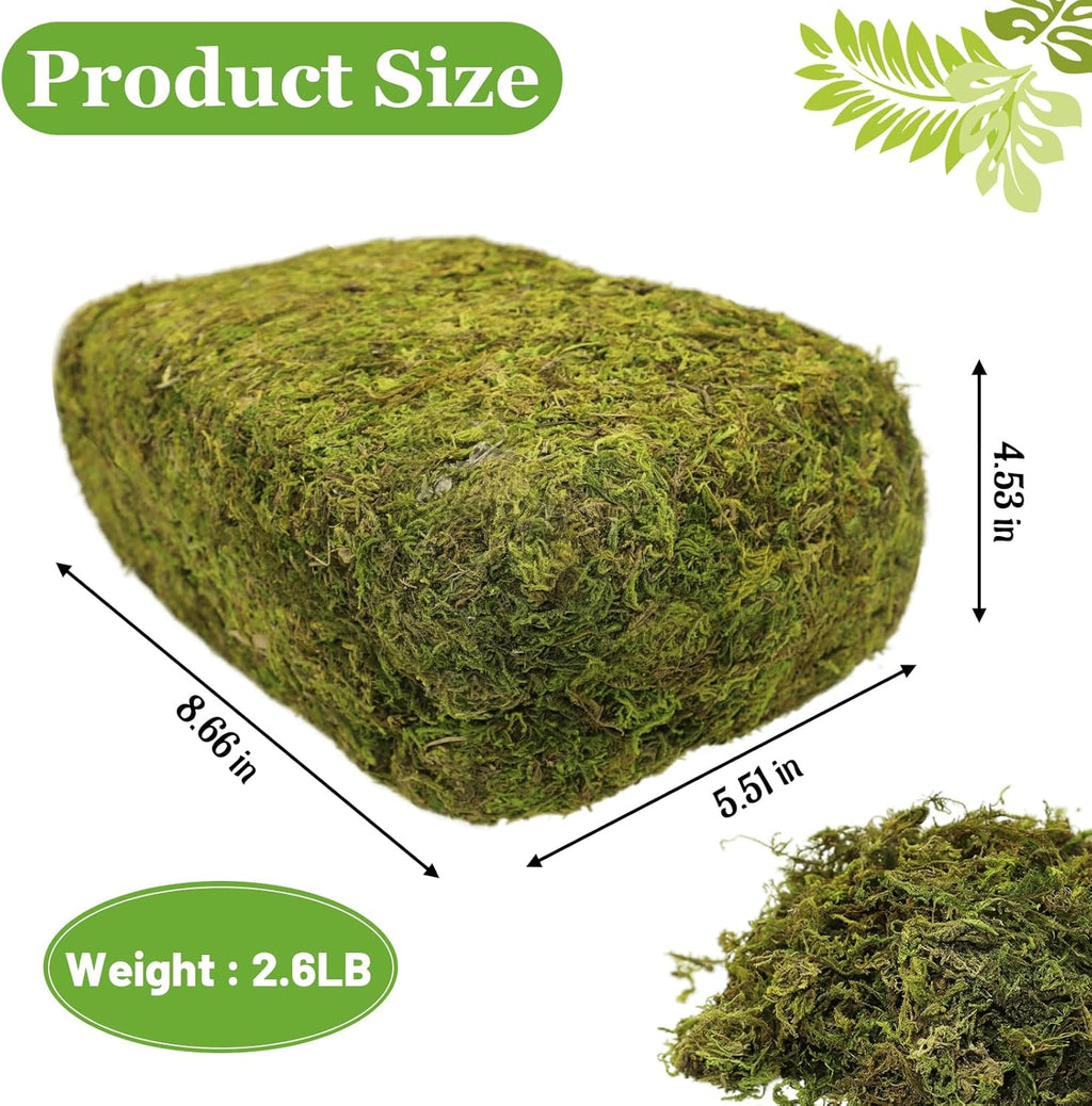 Riare 2.6LBS Artificial Fake Moss for Fake Plants Indoor- Premium Faux Craft Moss for Potted Plant, Fresh Forest Green for Hamsters Micro-Landscape Terrariums Centerpieces Decor