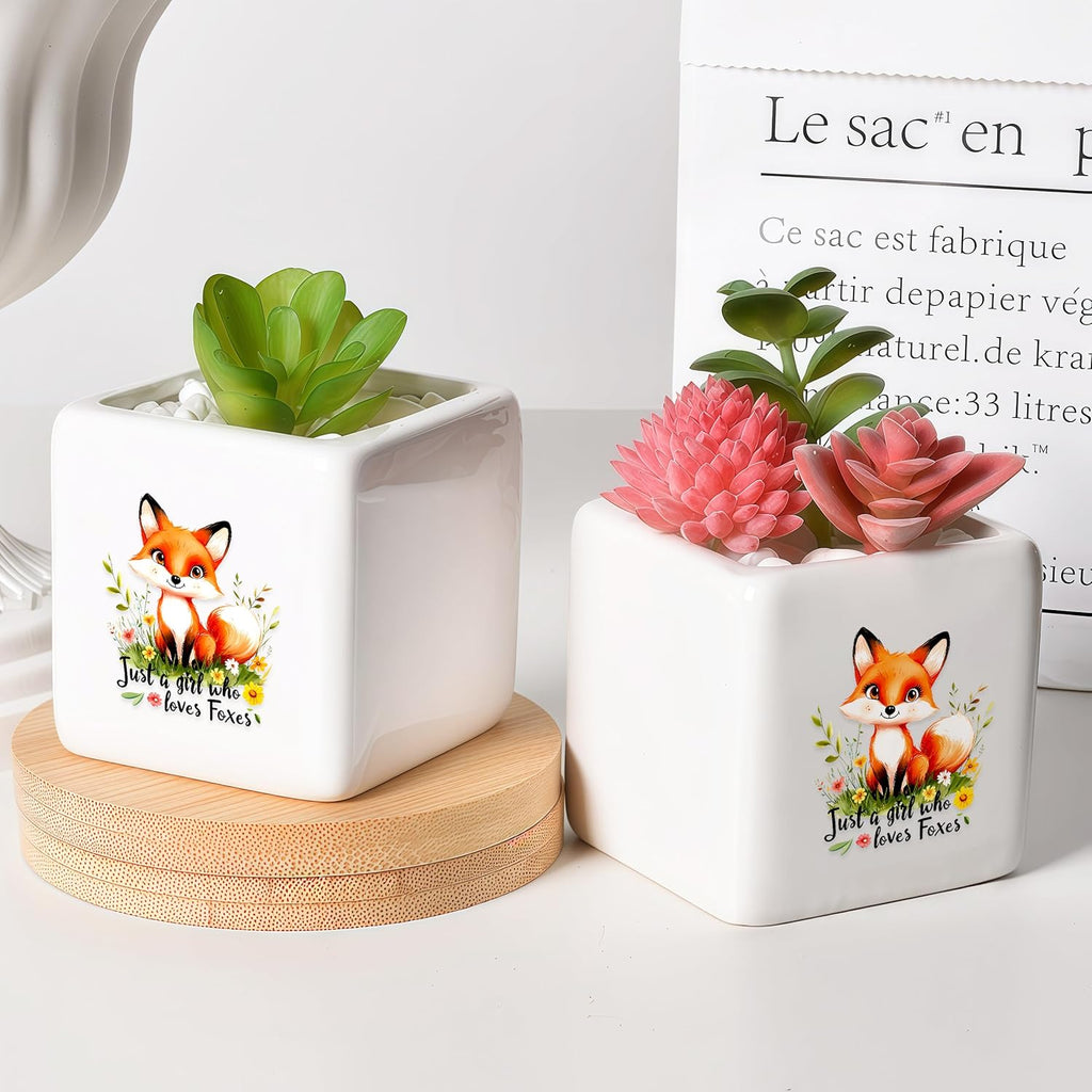 Fox Succulent Planter Flower Plant Pot Small, Gifts for Women Teens Girls Kids, Fox Lovers Themed Stuff Accessories Things Decor Merch, Home Office Table Desk Decoration!
