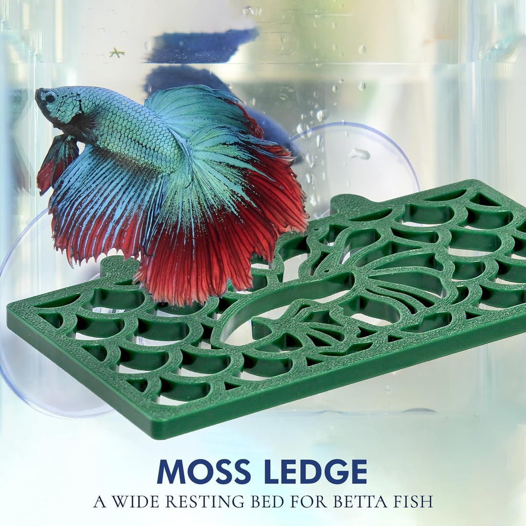 Abizoo Betta Fish Tunnel Hideout and Hammock Bed for Fish Aquarium Decoration, African Dwarf Frog Tank Accessories Hollow Design Habitat Cave for Betta Shrimp Guppies Neon Tetras Zebra Danios Snails