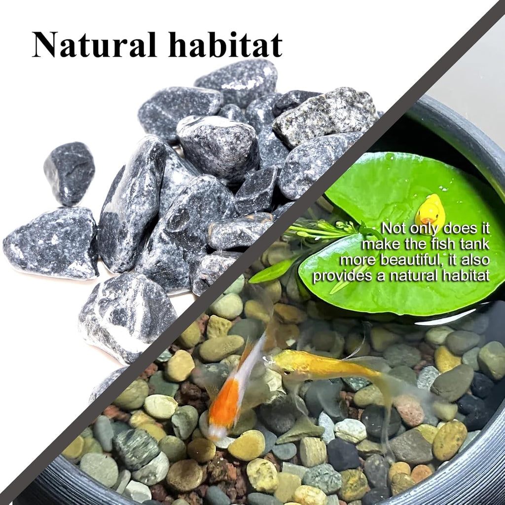 Natural Pea Gravel Pebbles for Plants, Fish Tank Gravel, Small Rocks for Outdoor Landscaping, Terrarium, Fish Tank, Home Decoration (10 Pounds, 0.6-1.2 inch, Black)