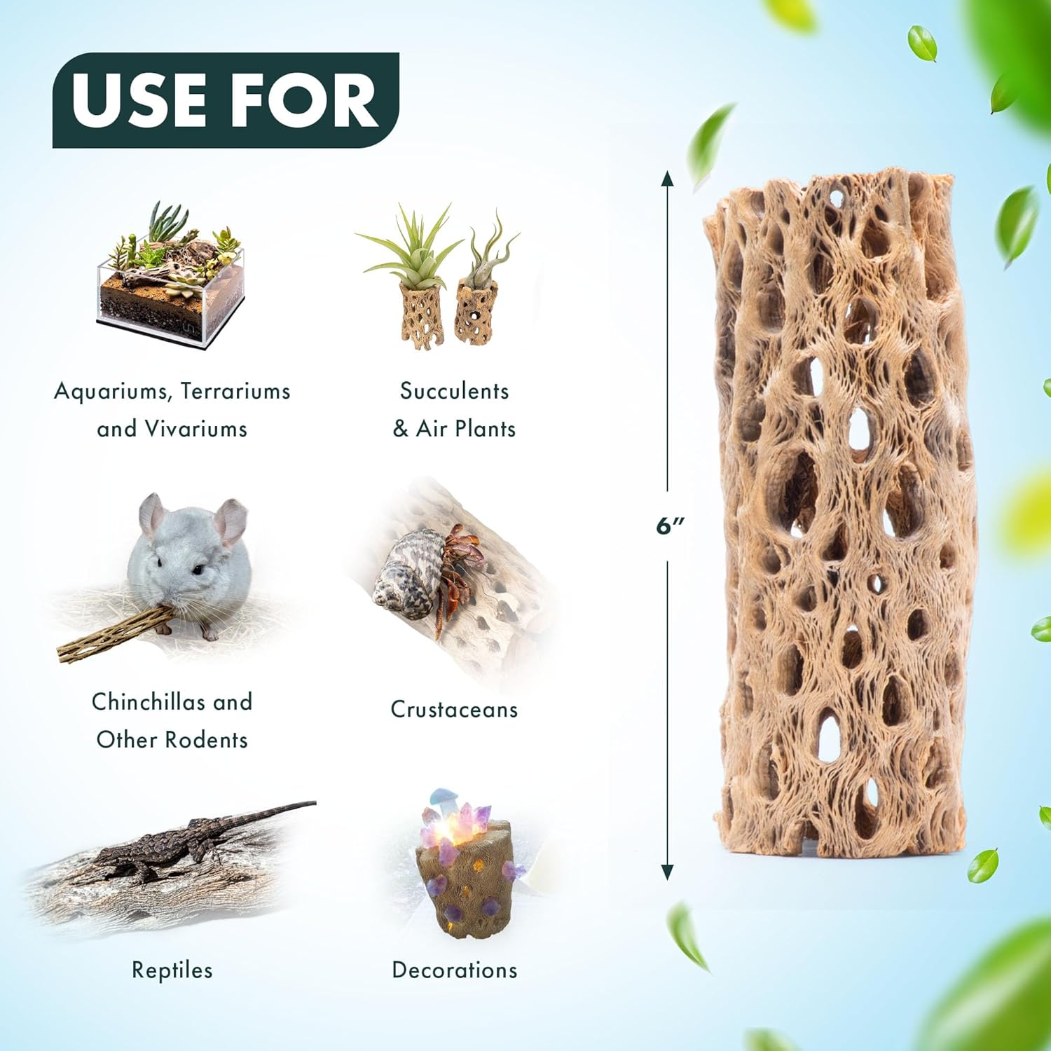SubstrateSource Natural Cholla Wood - Driftwood for Aquariums, Air Plant Base, Hermit Crab and Freshwater Shrimp Hideout, Fish Tank Decoration, Chinchilla Chews, Reptile Habitat Wood - 6 Inch, 1pc