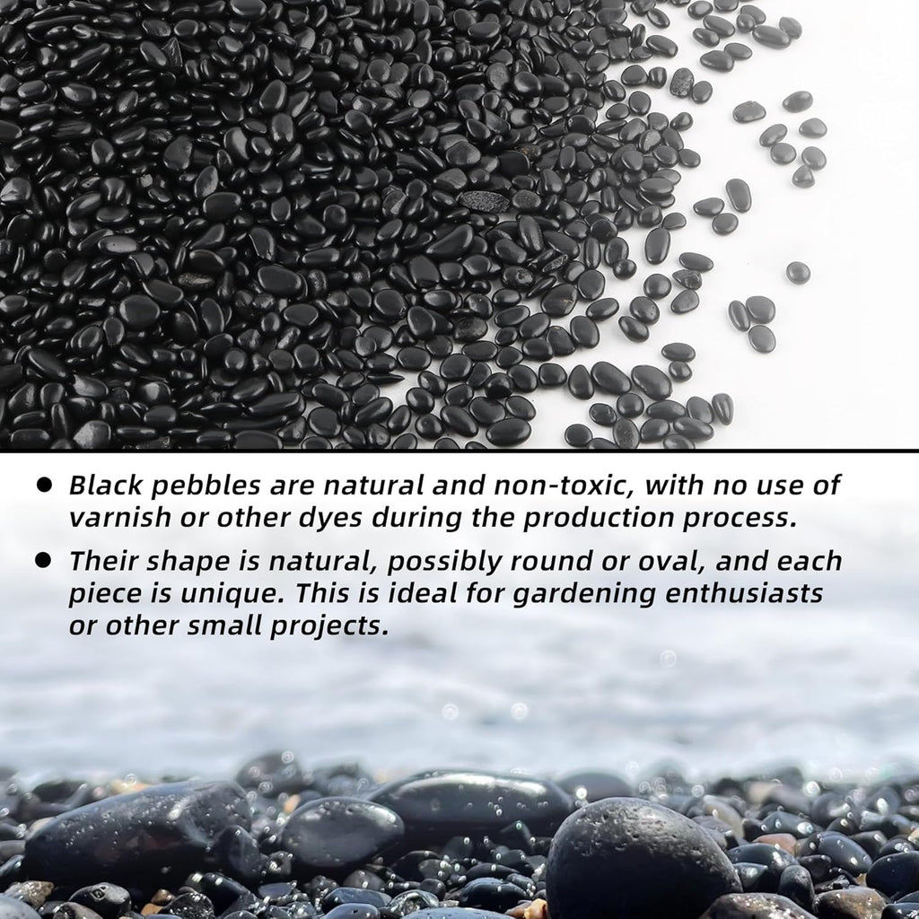 7lb 1/4" Small Pebbles Black for Plants,Potting,Succulents Aquarium Fish Tank Vases Decorative Garden Polished Gravel Rocks Stones