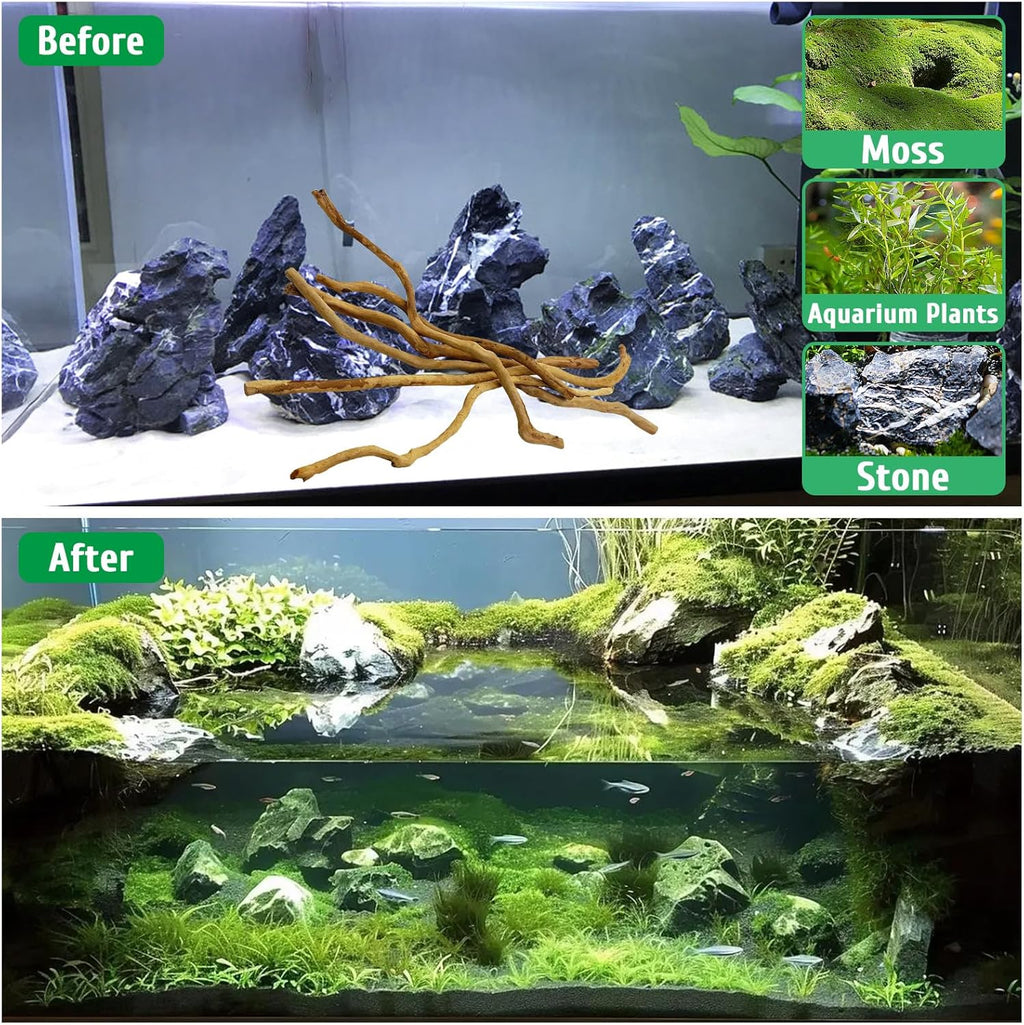 kathson Natural Driftwood for Aquarium, Red Moor Driftwood Mix 12''-16'' Long Driftwood for Decorations Aquarium Driftwood Assorted Shapes Natural Aquarium Decor Driftwood (150g, Delicate Branches)