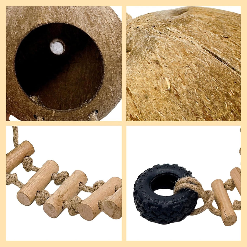 Hermit Crab Coconut Shell Hideout, Leopard Gecko Hide Habitat Cave with Ladder and 2 Sea Shells, Crested Gecko Tank Accessories with Moss for Reptiles,Hermit Crab Climbing Toys,5.3",5PCS