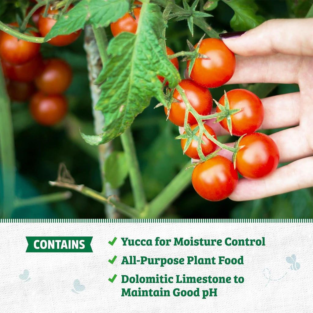 Back to The Roots 100% Organic Potting Mix (Value 12 Quart) | Premium Blend | Made in The USA